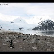 IMG 9597