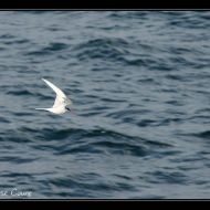 IMG 9832