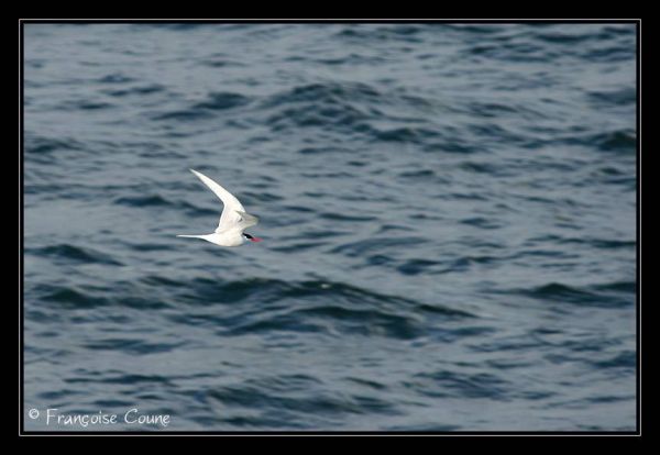 IMG 9832