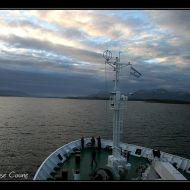IMG 9847