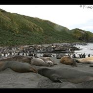 IMG 7152