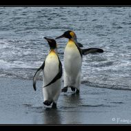 IMG 7496
