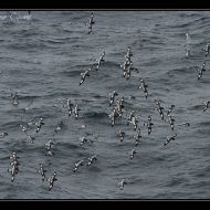 IMG 9879
