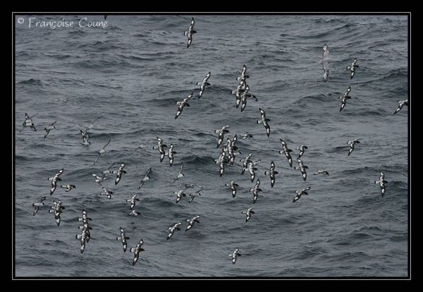 IMG 9879