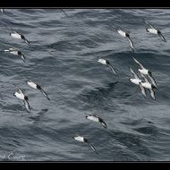 IMG 9883