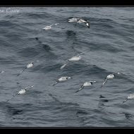 IMG 9895