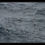 IMG 9901