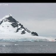 IMG 0616