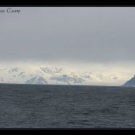IMG 9908