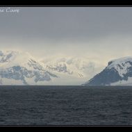 IMG 9927