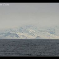 IMG 9932