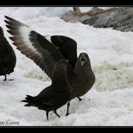 IMG 0759