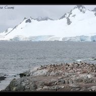 IMG 0809