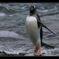 IMG 0873