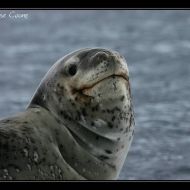 IMG 0957