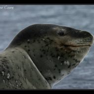 IMG 0958