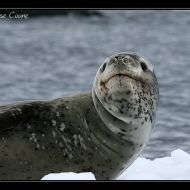 IMG 0963
