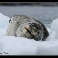 IMG 0976