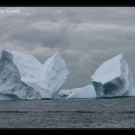 IMG 0995