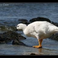 IMG 4072