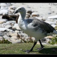 IMG 4151