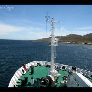 IMG 4181