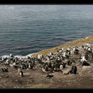 IMG 4534
