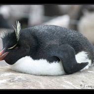 IMG 4589