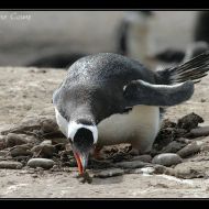 IMG 4648