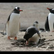 IMG 4652