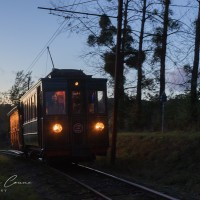 231029 2N9A0709 copie