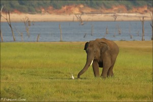 Angammedilla National Park