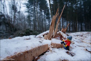 Reportage sur un bûcheron