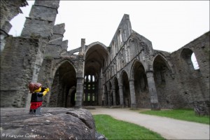 Abbaye de Villers-la-ville